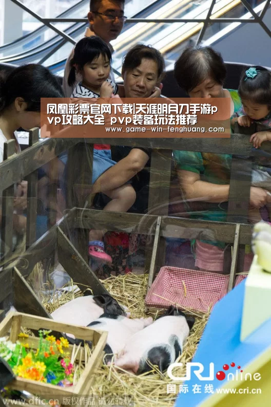 凤凰彩票官网下载|天涯明月刀手游pvp攻